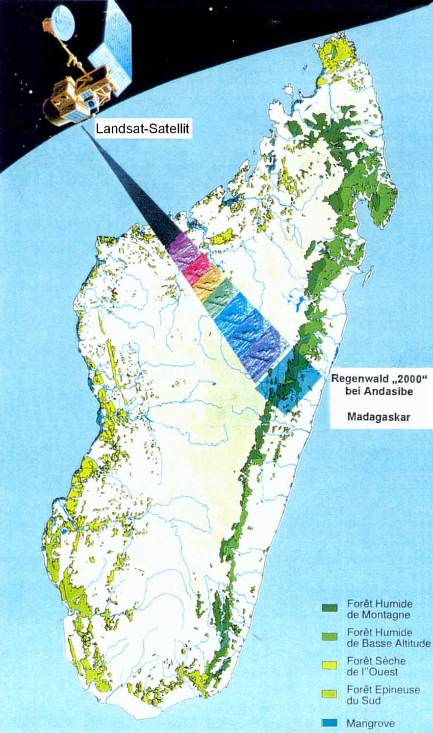 Karte Regenwald-Biotopverbundsystem