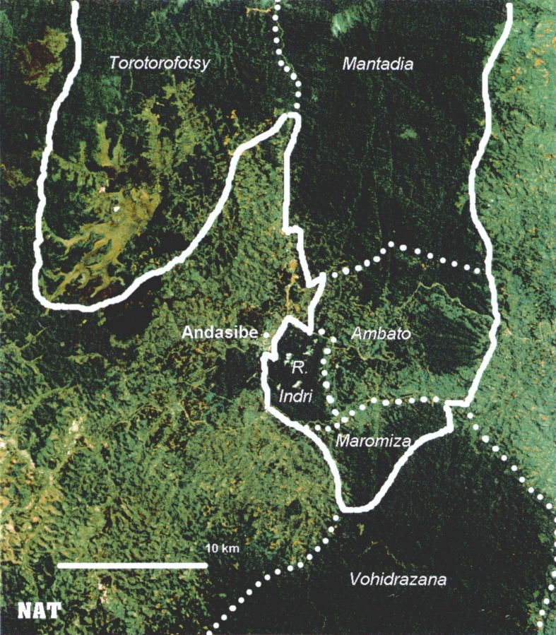 Map rainforest 2000